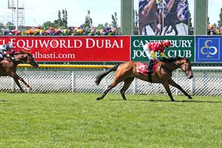 Madison County (NZ) striding to victory in the Group One New Zealand Two Thousand Guineas. Photo: Race Images South.